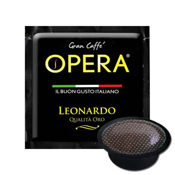 A Modo Mio Opera Leonardo