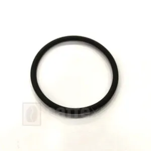 Guarnizione pistone portacialde Didiesse Didì originale